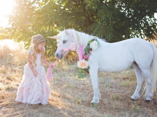 Unicorn Leads California Police on Chase