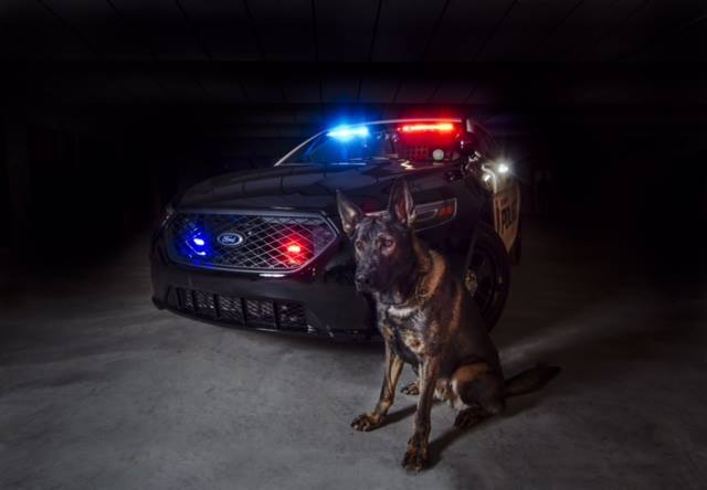 National Puppy Day & Law Enforcement