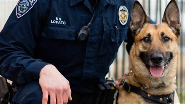 Police K9 Killed, Suspect Shot In Standoff