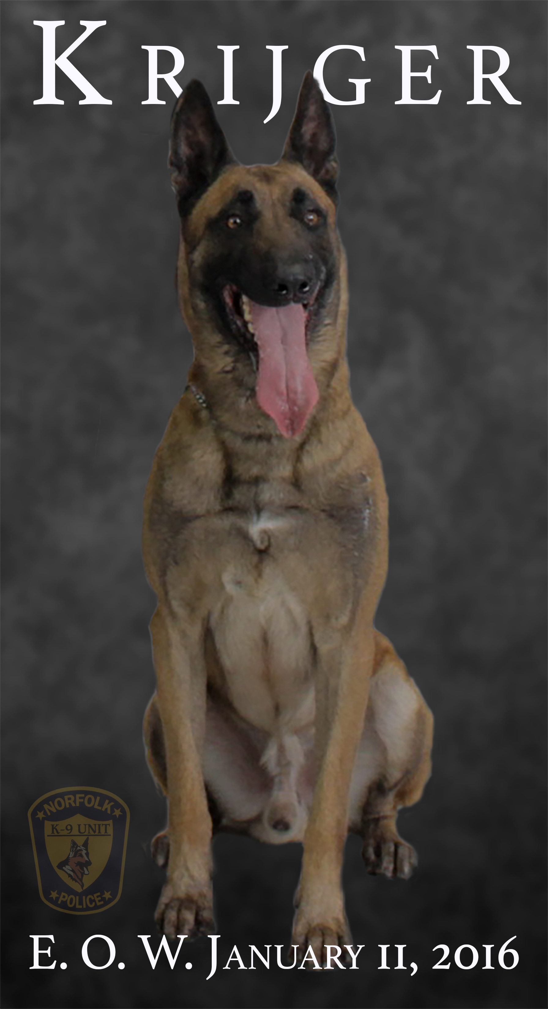Police Dogs Killed In The Line Of Duty Honored With “Paw of Courage” Award