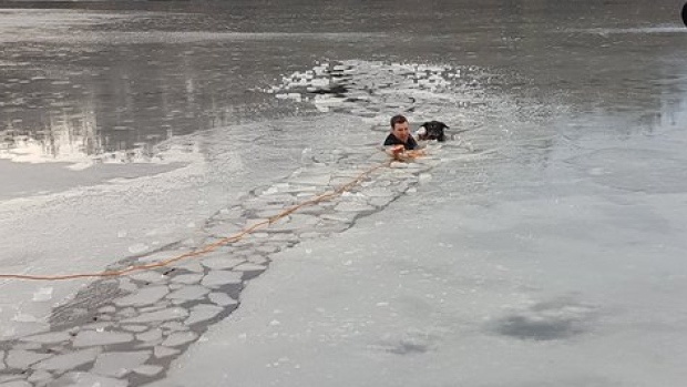 Vancouver Police Officer Jumps Into Frozen Water To Save Dog