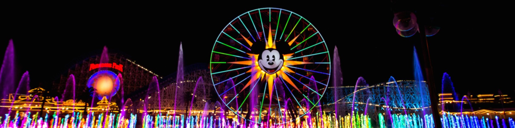 Pooping Geese At Disneyland Prompt Police Response