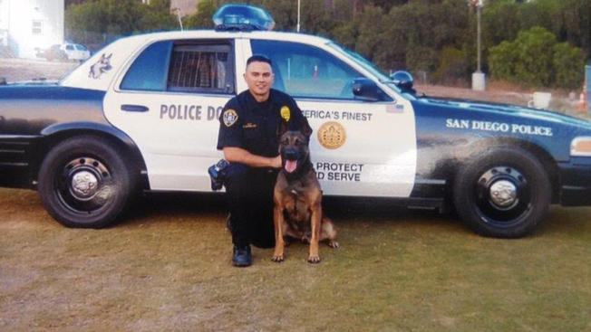 Man ‘Acting Like a Bull’ Stabs San Diego K9