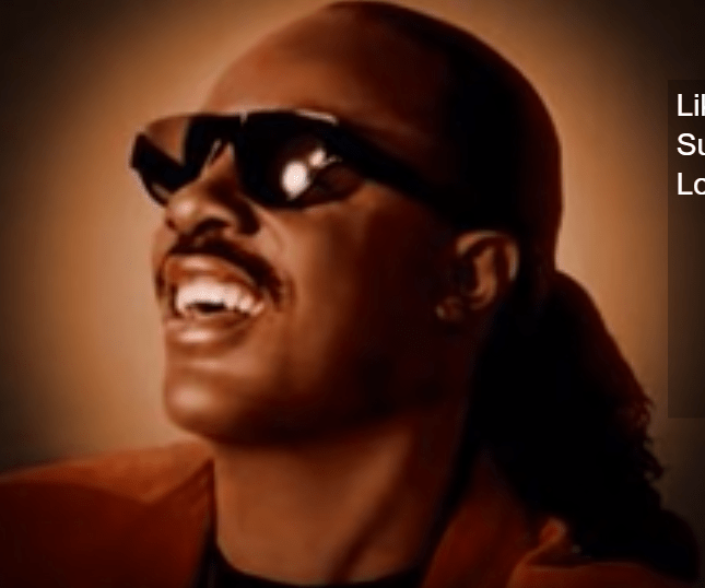 The life and legend of stevie wonder