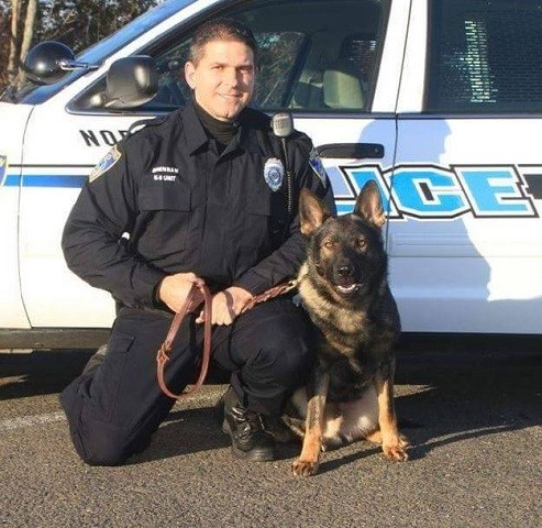 Police K9 Dies In Hot Car - Law Officer