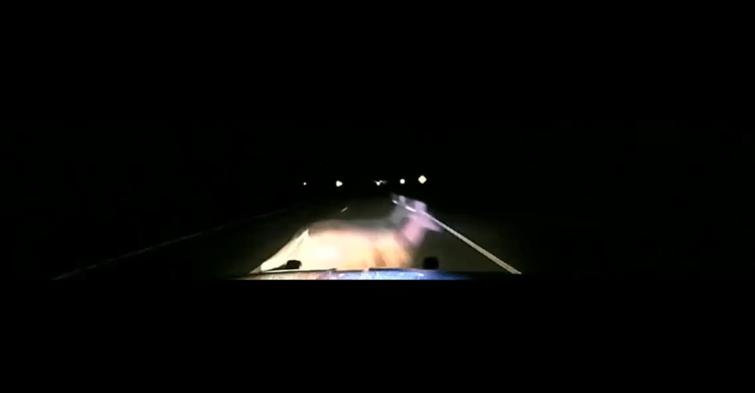 Watch Deputy Strike Deer At 114 MPH