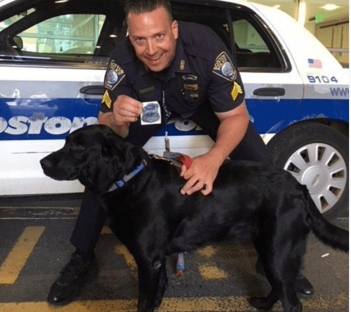 Boston Police Sergeant Deputizes Family Dog For a Day