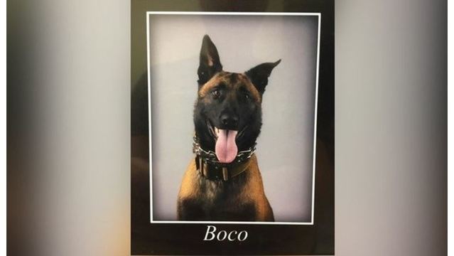 Louisiana K9 Killed In The Line of Duty