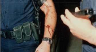 Officer Down: The Peter Soulis Incident