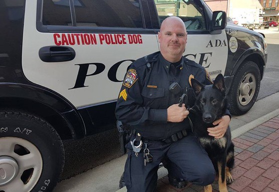 Ohio K9 Killed After Being Struck By Car – Law Officer