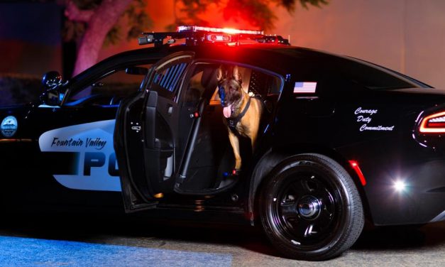 Top 10 stories of 2019