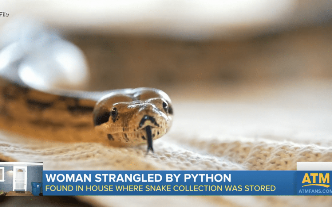 Woman Found Dead With 8-foot Python Wrapped Around Neck - Law Officer