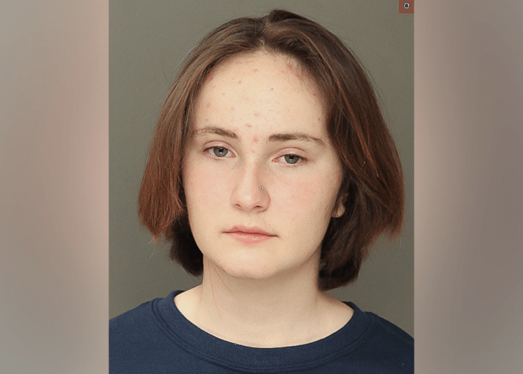 Pennsylvania teen charged with murdering sister – Law Officer