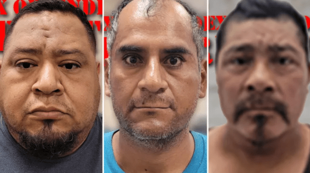 Border Patrol nabs three pedophiles trying to enter US